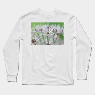 Allium karataviense   AGM  Kara Tau garlic Long Sleeve T-Shirt